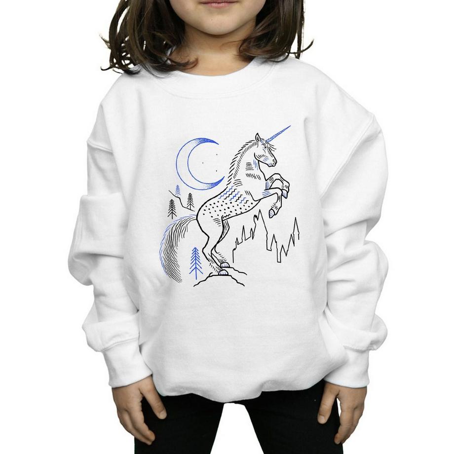HARRY-POTTER  Sweatshirt 