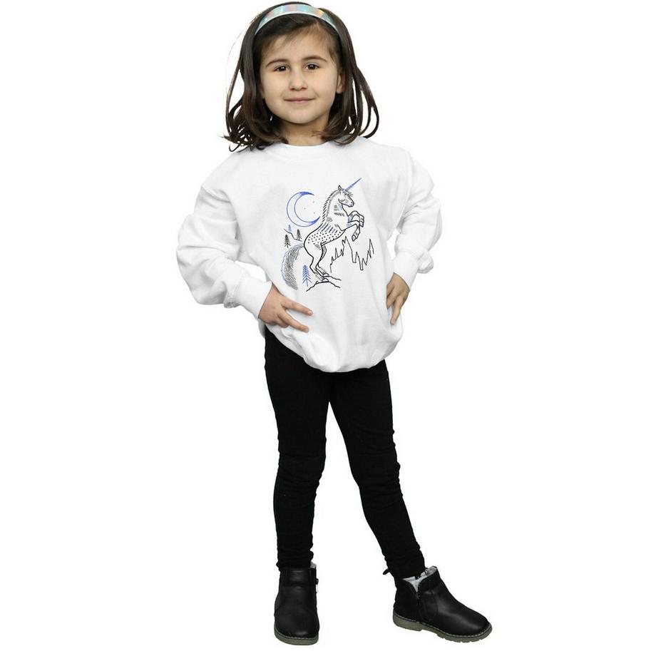 HARRY-POTTER  Sweatshirt 