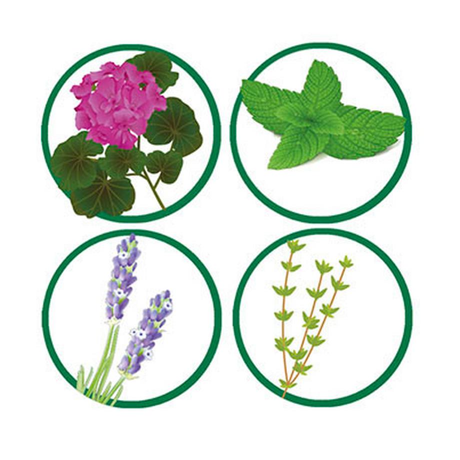 Pest Reject Bug Shield - Répulsif pour insectes à effet barrière protectrice, à base d'ingrédients naturels  
