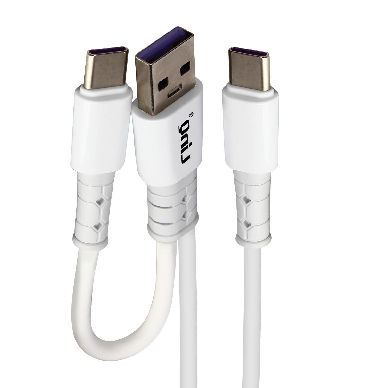 Avizar  Câble USB-C 60W, LinQ 