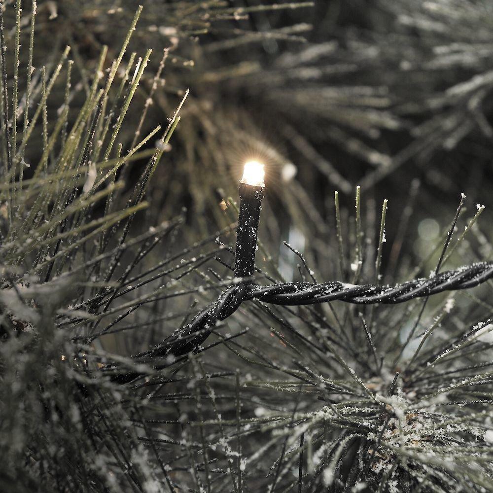 Image of 3616-110 Partydekorationen Girlande Unisex Schwarz ONE SIZE