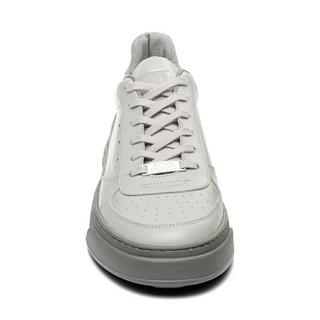 STEVE MADDEN  baskets brent 