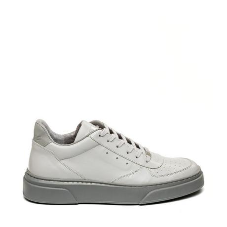 STEVE MADDEN  baskets brent 