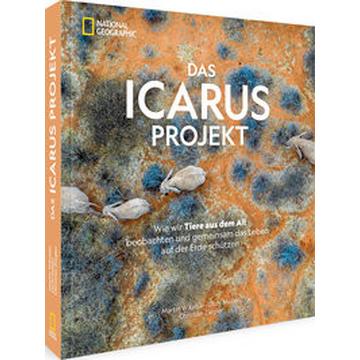 Das ICARUS Projekt