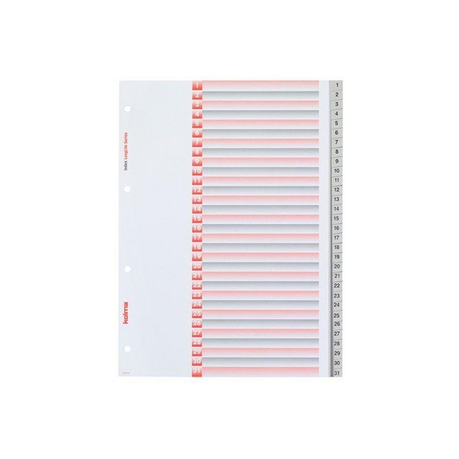 Kolma  KOLMA Register Longlife A4 19.314.03 grau, 1-31 