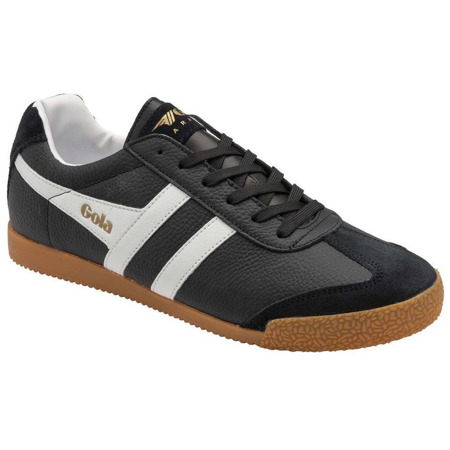 gola Harrier Baskets Baskets harrier 