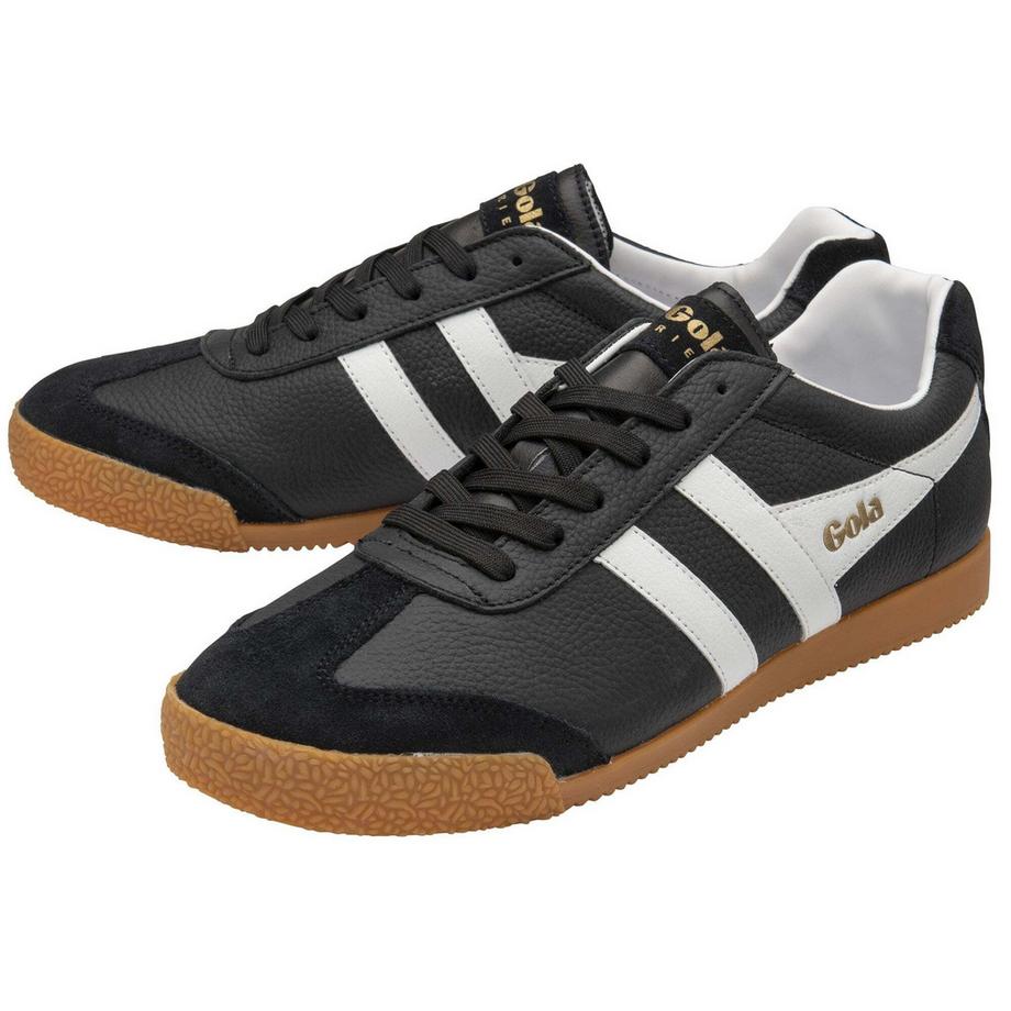 gola Harrier Baskets Baskets harrier 