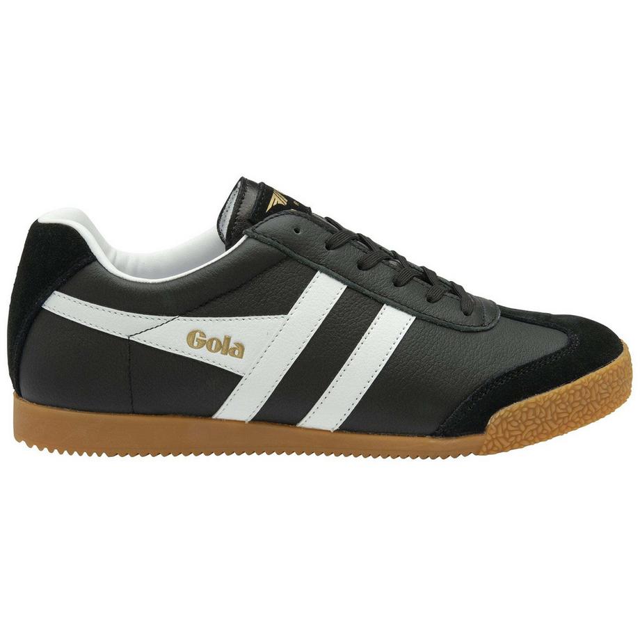Baskets harrier