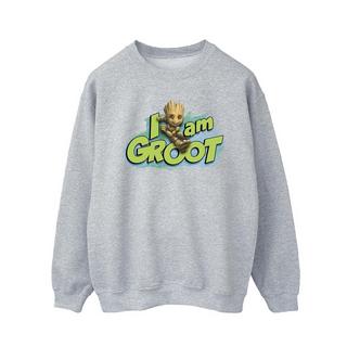 MARVEL  Guardians Of The Galaxy I Am Groot Sweatshirt 