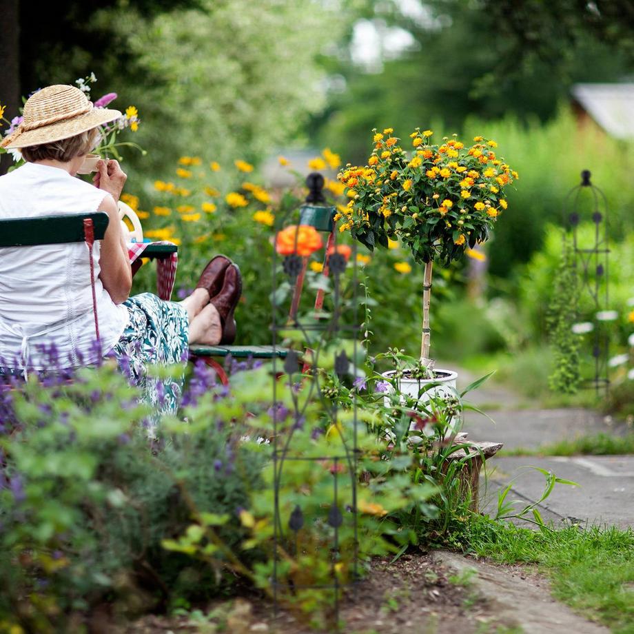 Northix  Kletterhilfe 2er Set 
