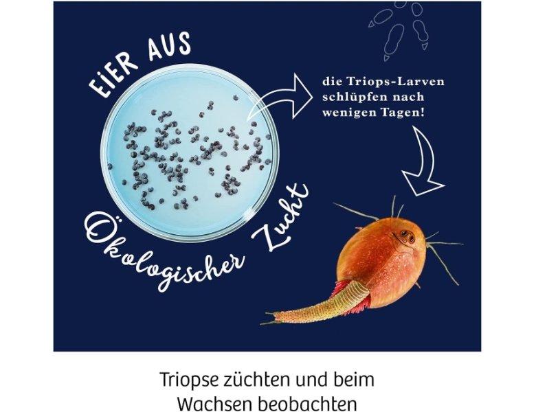 Kosmos  Fun Science Triops züchten 