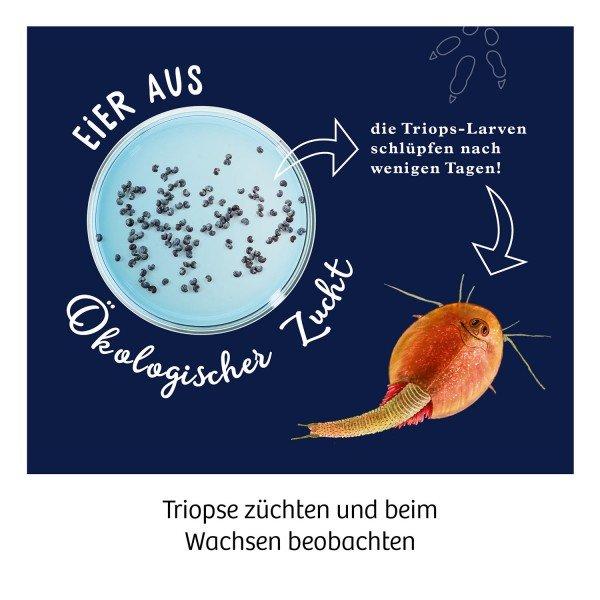 Kosmos  Fun Science Triops züchten 