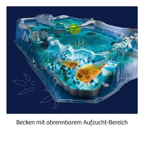 Kosmos  Fun Science Triops züchten 