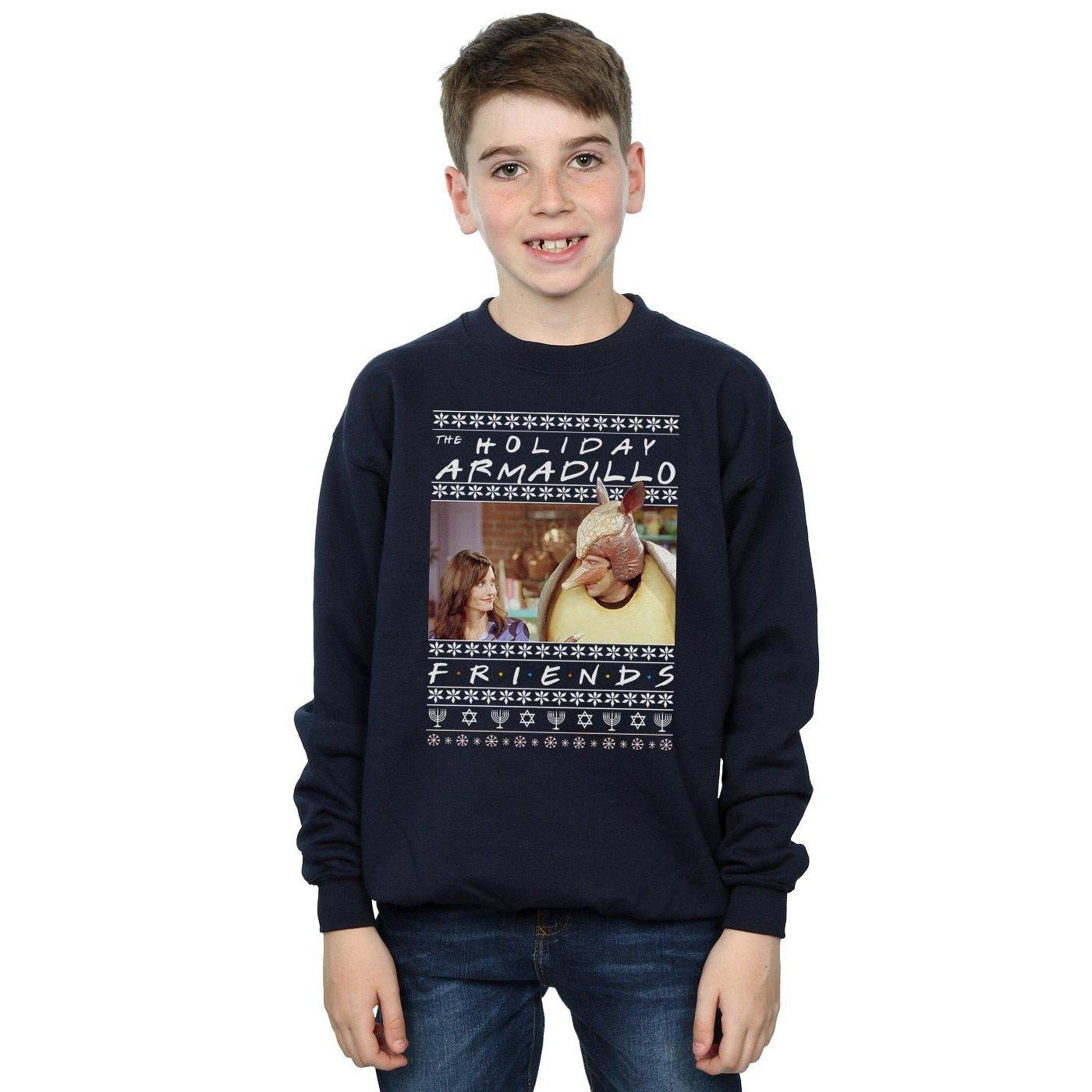 Friends  Holiday Armadillo Sweatshirt 