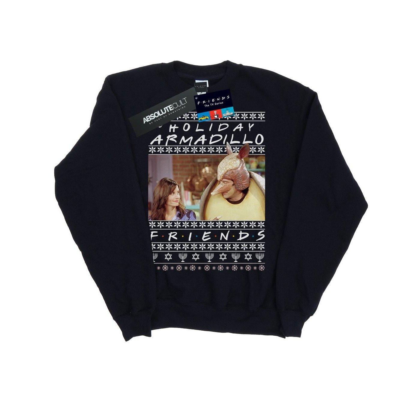 Friends  Holiday Armadillo Sweatshirt 