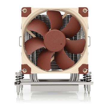 Noctua