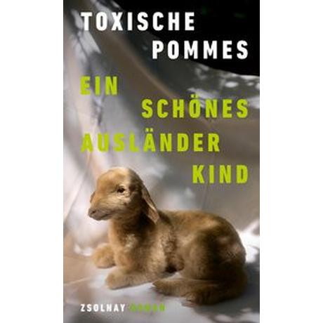 Ein schönes Ausländerkind Toxische Pommes Gebundene Ausgabe 