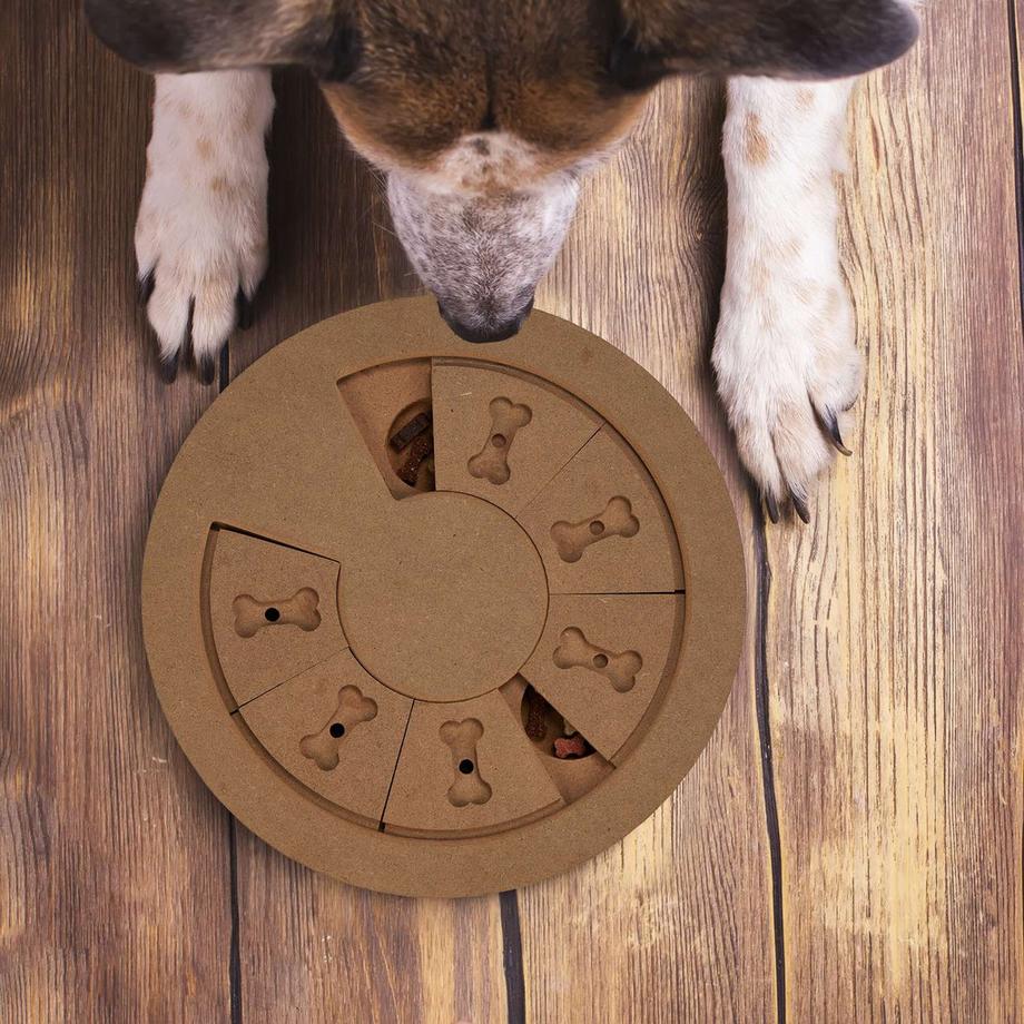 B2X  Intelligentes Spielzeug für Hunde 