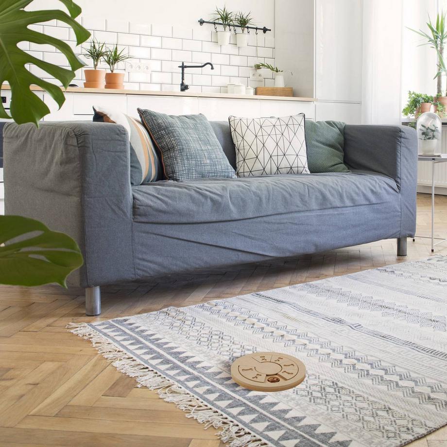 B2X  Intelligentes Spielzeug für Hunde 