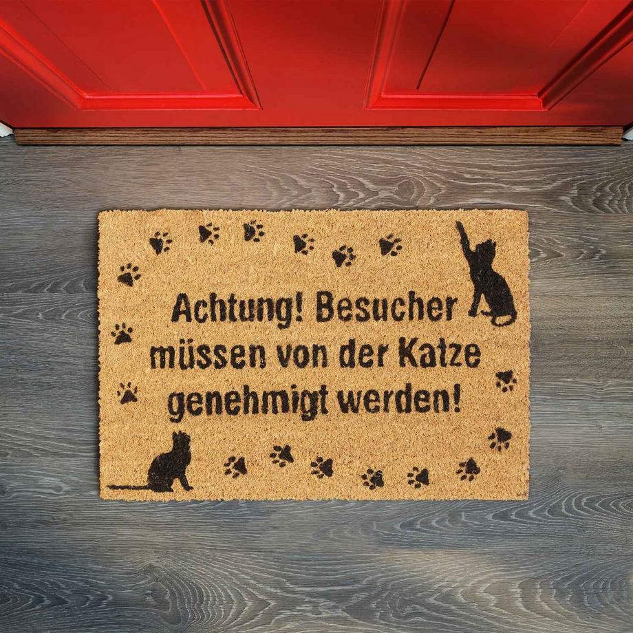 B2X Zerbino Coconut Cat  