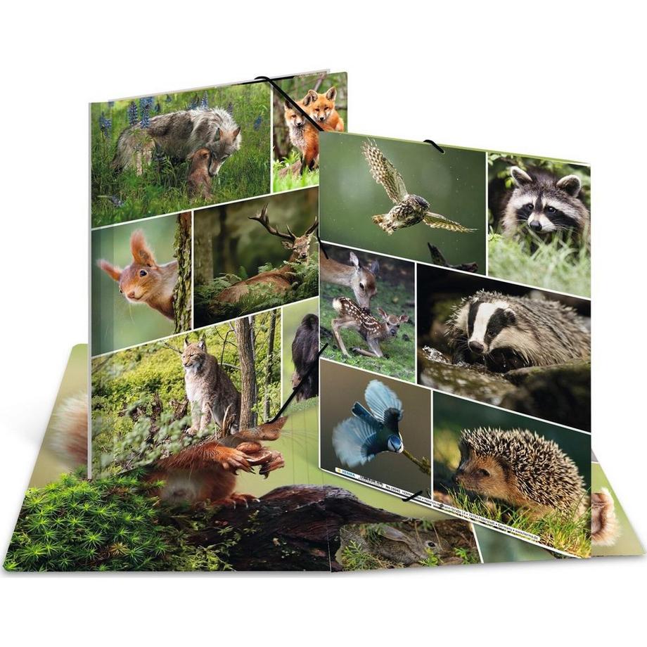 HERMA Gummibandmappe Waldtiere  