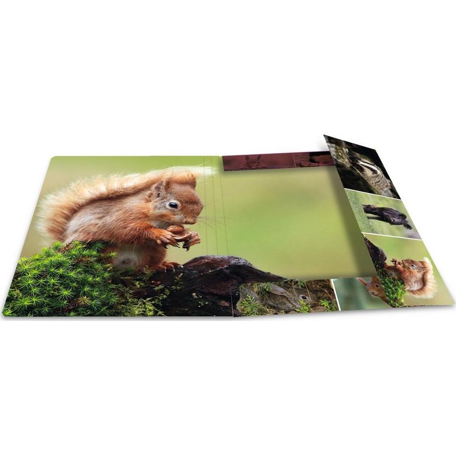 HERMA Gummibandmappe Waldtiere  