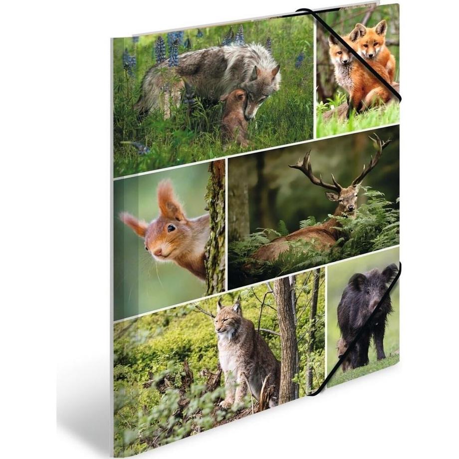 pochette en caoutchouc Animaux de la forêt