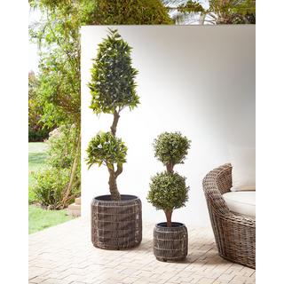 Beliani Lot de 2 pots de fleurs en Polyrotin Rustique BRODIEA  