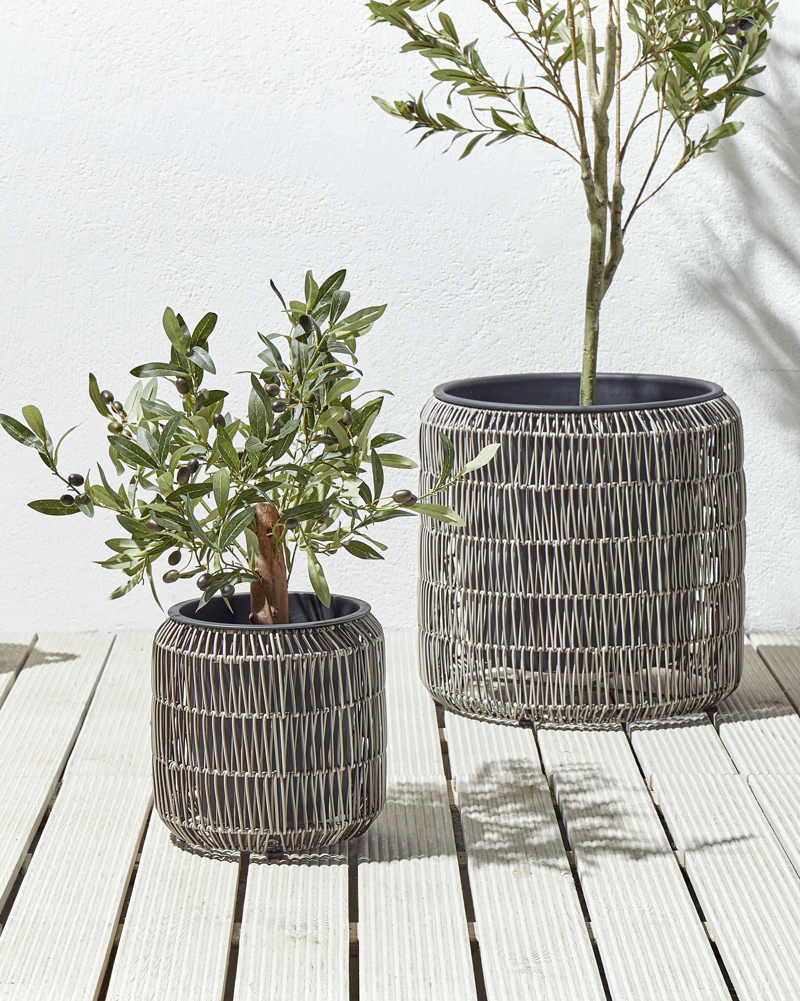 Beliani Lot de 2 pots de fleurs en Polyrotin Rustique BRODIEA  