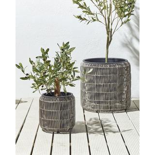 Beliani Lot de 2 pots de fleurs en Polyrotin Rustique BRODIEA  