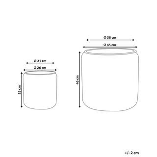 Beliani Lot de 2 pots de fleurs en Polyrotin Rustique BRODIEA  