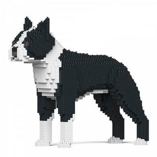 Jekca Limited  Boston Terrier 