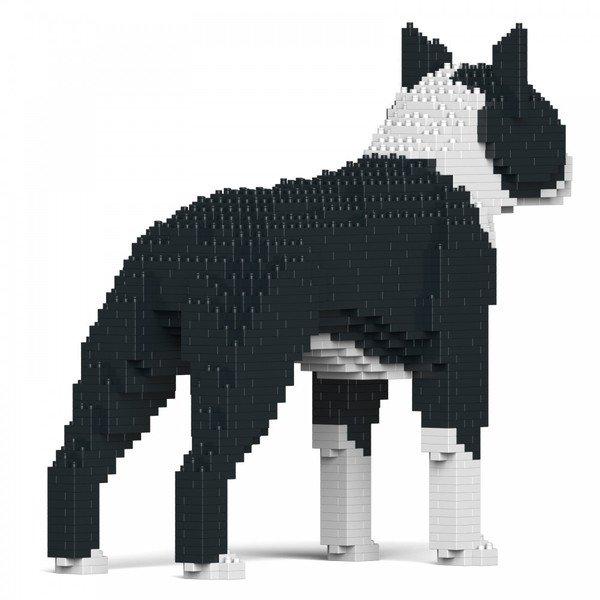 Jekca Limited  Boston Terrier 