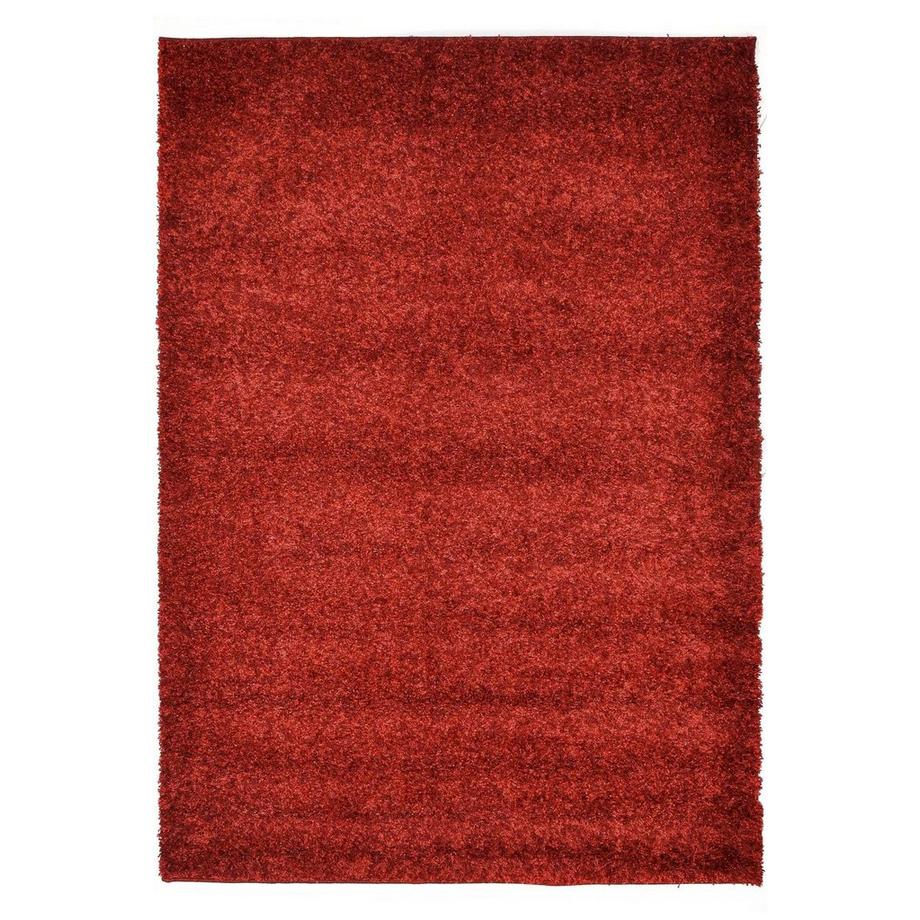 Hadorn Teppich Shaggy - Hadorn Limited Edition  