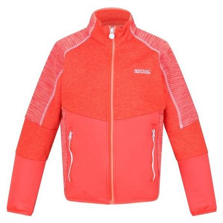 Regatta  Oberon V Softshelljacke 