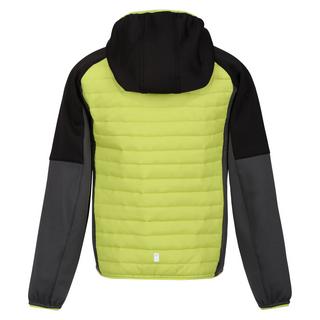 Regatta  Veste KIELDER HYBRID Enfant 