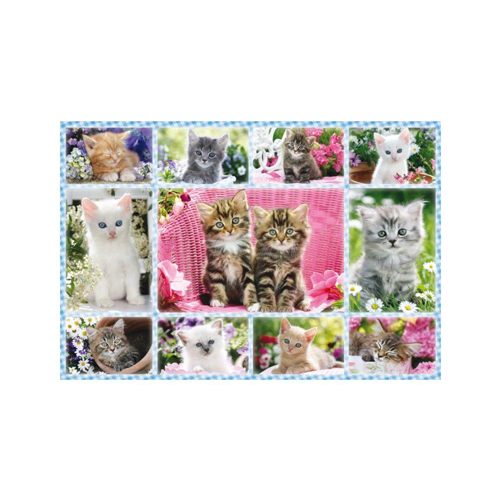 Schmidt  Puzzle Katzenbabies (100Teile) 