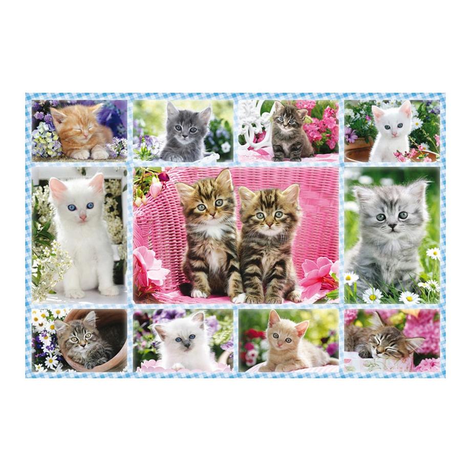 Schmidt  Puzzle Katzenbabies (100Teile) 