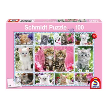 Puzzle Katzenbabies (100Teile)