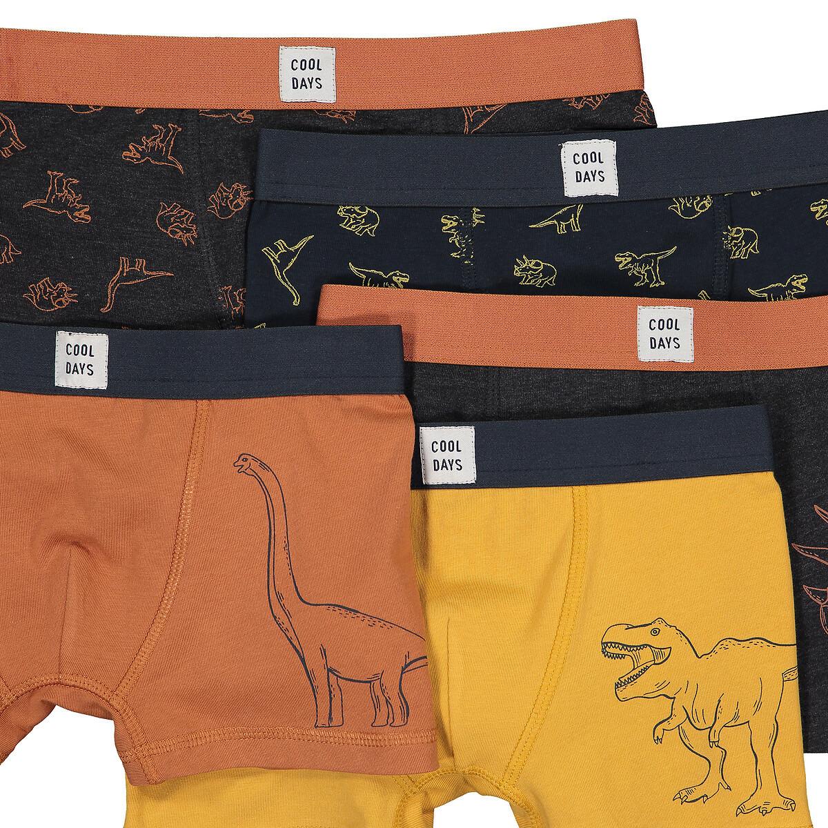 La Redoute Collections  5er-Pack Boxerpants  Dinosaurier 