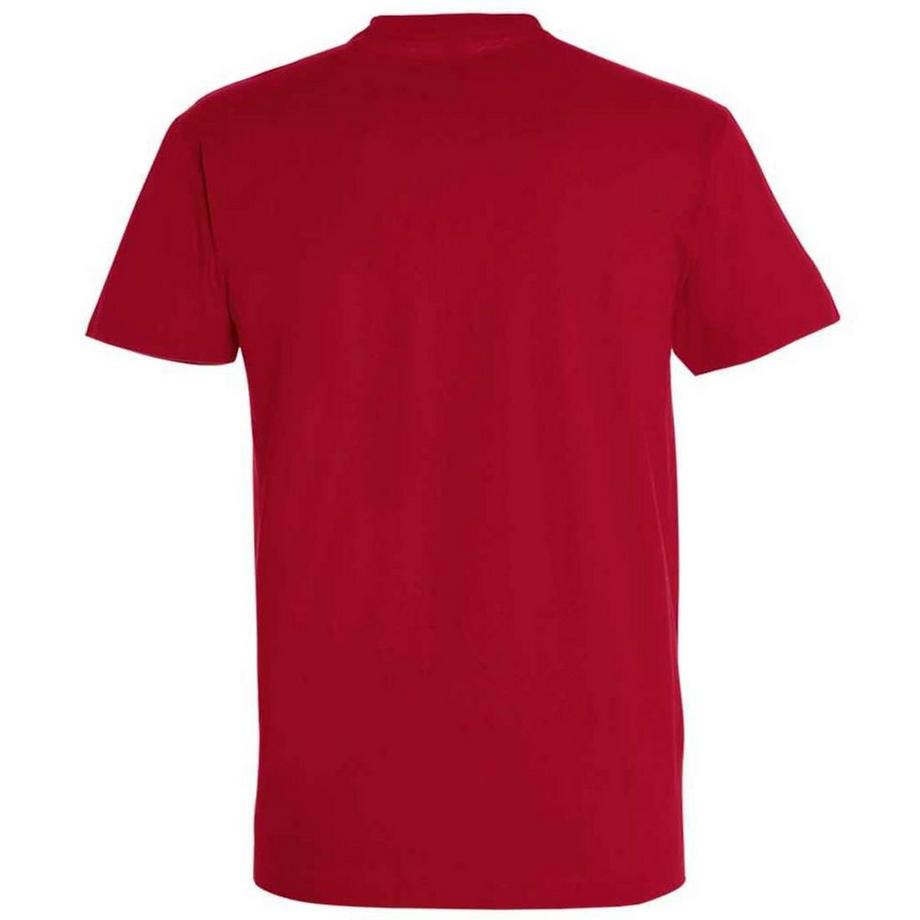 SOLS Imperial T-Shirt Schwere Qualität  