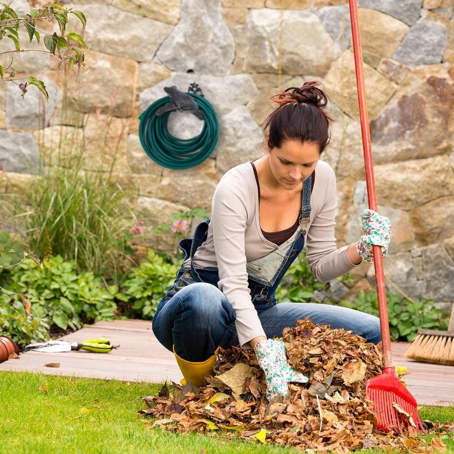 B2X  Schlauchhalter aus Gusseisen mit Froschmotiv 
