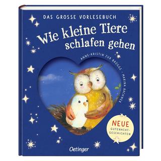 Wie kleine Tiere schlafen gehen. Das große Vorlesebuch zur Brügge, Anne-Kristin; Rachner, Marina (Illustrationen) Couverture rigide 