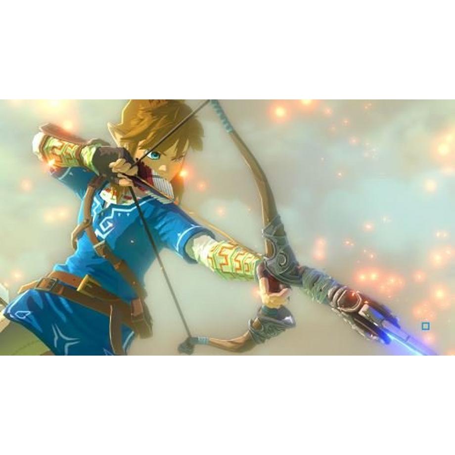 Nintendo  Switch The Legend of Zelda: Breath of the Wild 