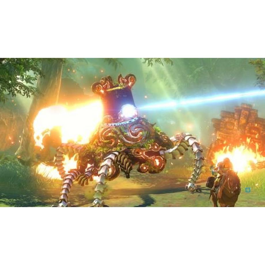 Nintendo  Switch The Legend of Zelda: Breath of the Wild 