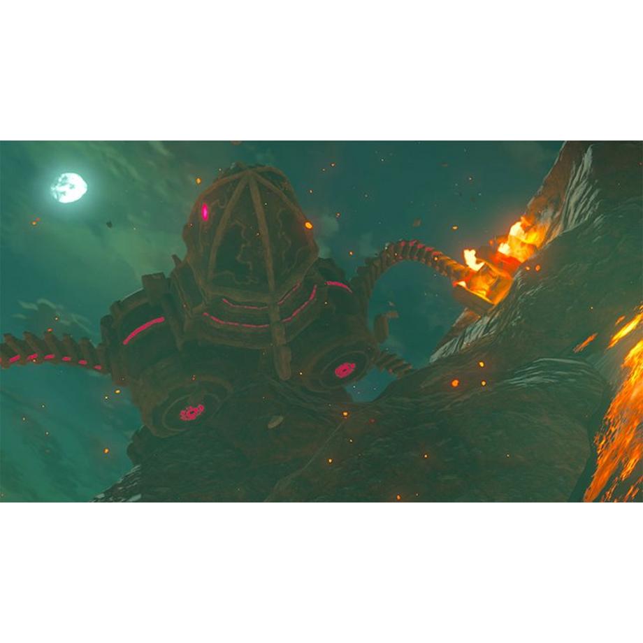 Nintendo  Switch The Legend of Zelda: Breath of the Wild 
