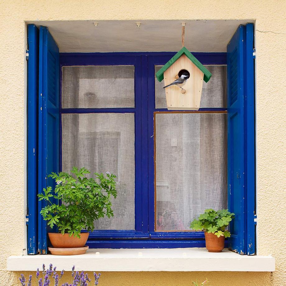 B2X  Tetto verde per casetta per uccelli Deco 