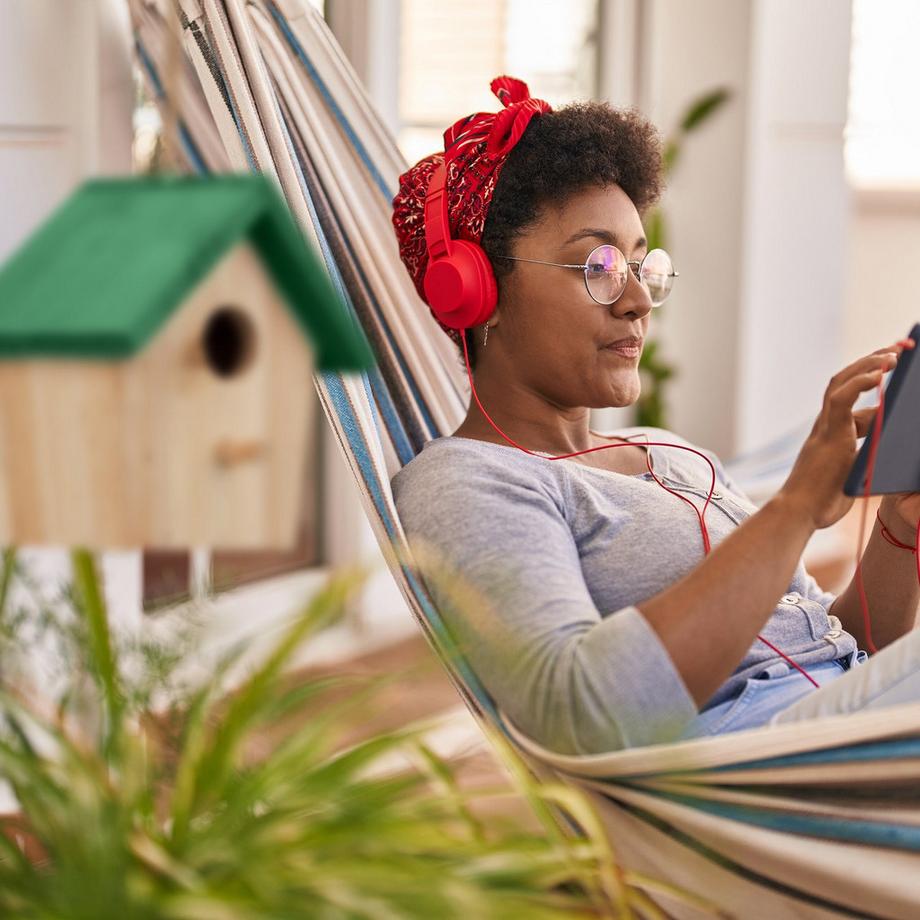 B2X  Tetto verde per casetta per uccelli Deco 