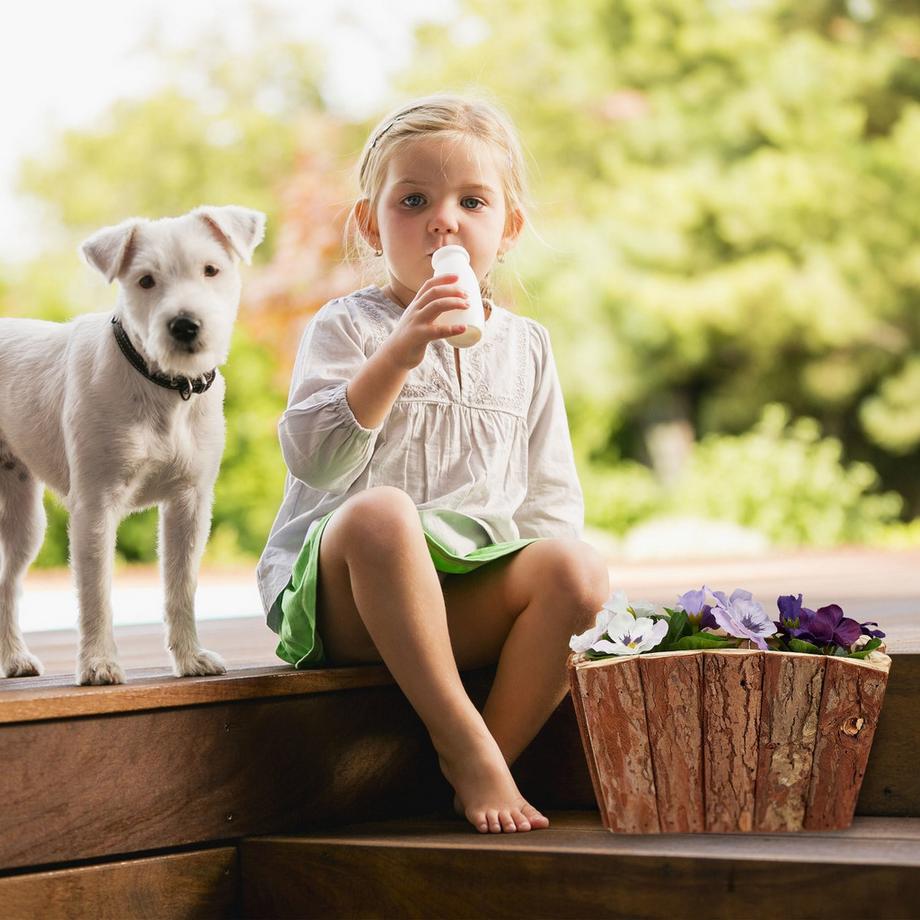 B2X Blumenkasten Holz 3er Set  