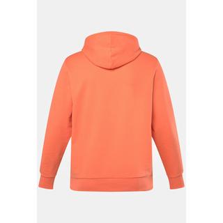 JP1880  Sweat à capuche, jusqu'au 8XL 